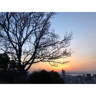春分の日