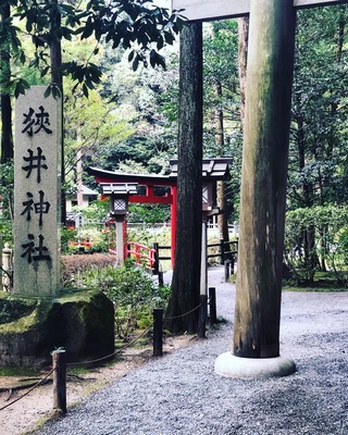 滝へ行きたくて